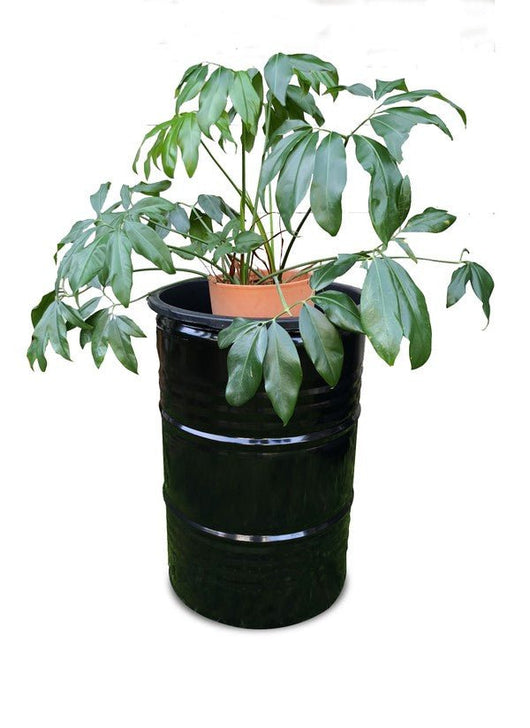 Olievat plantenbak - Partyfurniture