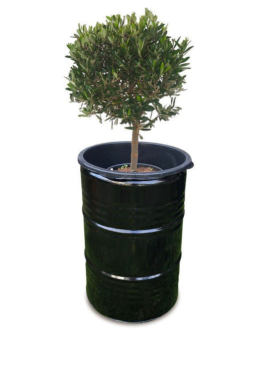 Olievat plantenbak - Partyfurniture
